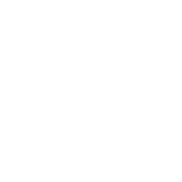 atom (1)