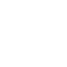 css-3 (1)