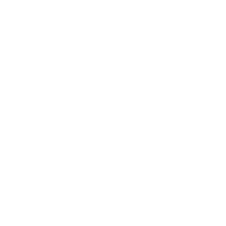 github (1)