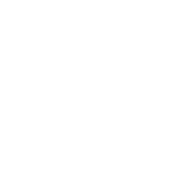wordpress-logo